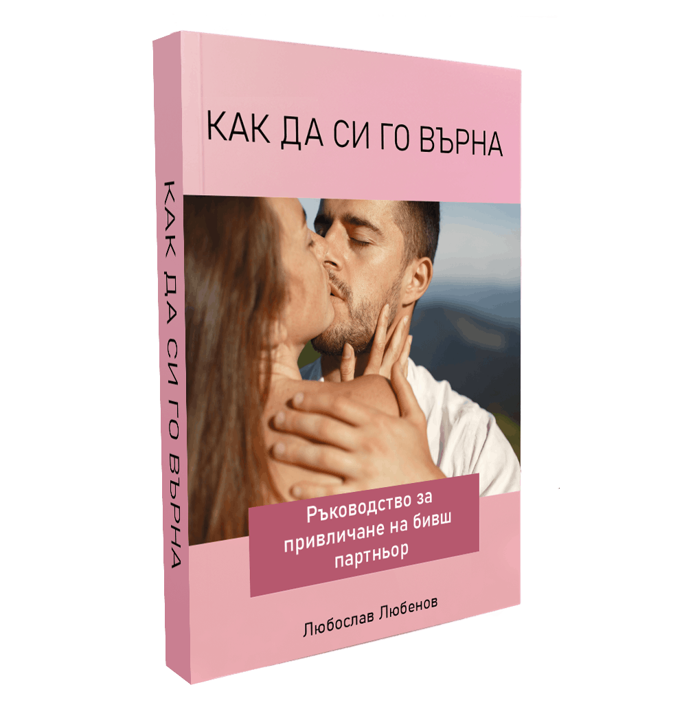 Как да си го върна - книга