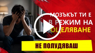 видео за раздяла, мозъкът по време на раздяла